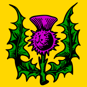 image:Thistle_full.png