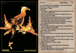 Phoenix by Malcolm McClinton w/System Neutral information.