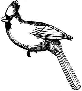 Cardinal  (Link goes to the .svg file used with the Coat of Arms Design Studio.)