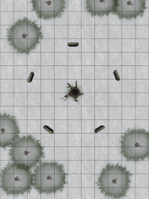 17 Hollow Tree Shrine