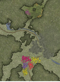 31 The Fallen Forest