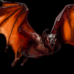 Bat, Dire by Nicole Cardiff