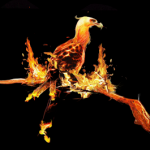 Phoenix by Malcolm McClinton